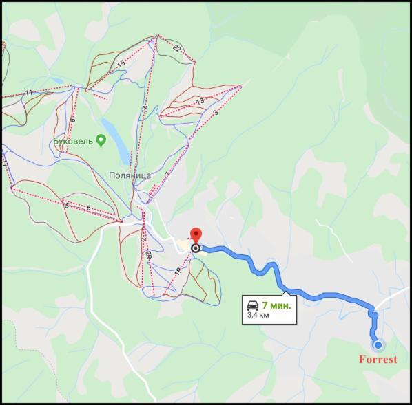 Forrest Hotel 布克维 外观 照片